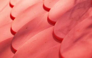 Hollingbourne plastic roof costs