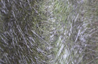 Hollingbourne fibreglass roof work